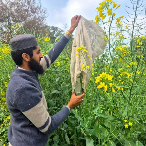 Crop sampling · Feb 2025